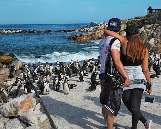 Cape Agulhas and Stony Point Private Guided Tour from Cape Town with Hotel Transfers