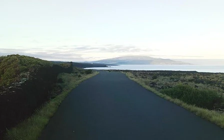 Pico Island UNESCO Vineyard Landscape Guided Tour with Museum and Wine Producer Visits