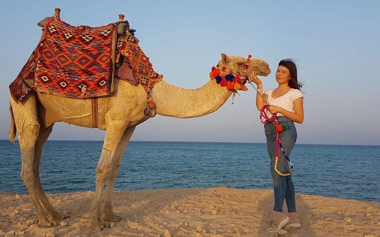 Un'ora di giro in cammello nel meraviglioso deserto, con trasferimento incluso - Sharm el-Sheikh — 2