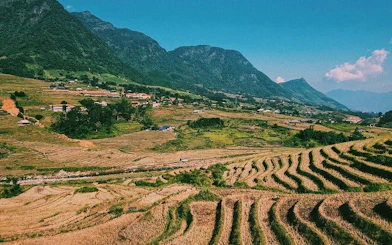 Terraced rice fields in Sapa with Ta Van Village and mountains in the background.