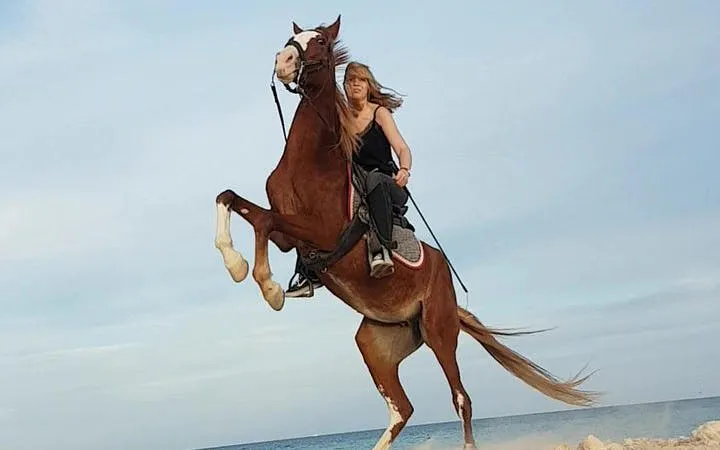 Horse Riding 3 Hours Beach, Desert, Swimming by Horse at Red Sea - Hurghada Image 10