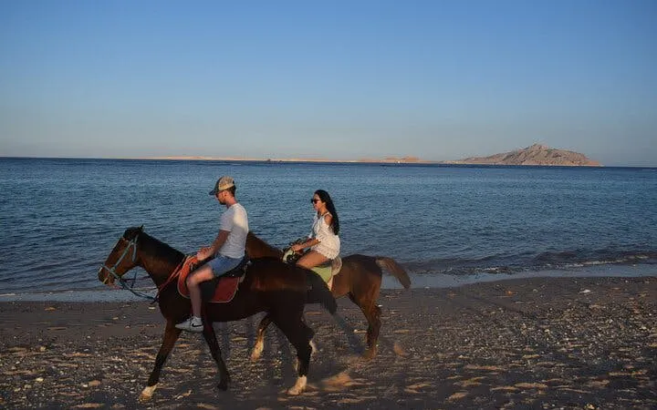 Sunrise Horseback Ride in Desert and Along Red Sea with Hotel Transfers – Hurghada Image 10