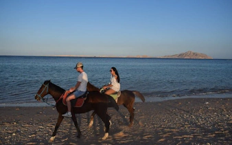 Horseback riders along Red Sea shore at sunrise, Hurghada desert backdrop.