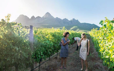 Cape Town: Table Mountain, Kirstenbosch & Groot Constantia Private Tour