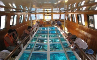 Glass-bottom boat tour with passengers viewing marine life, Sharm El Sheikh.