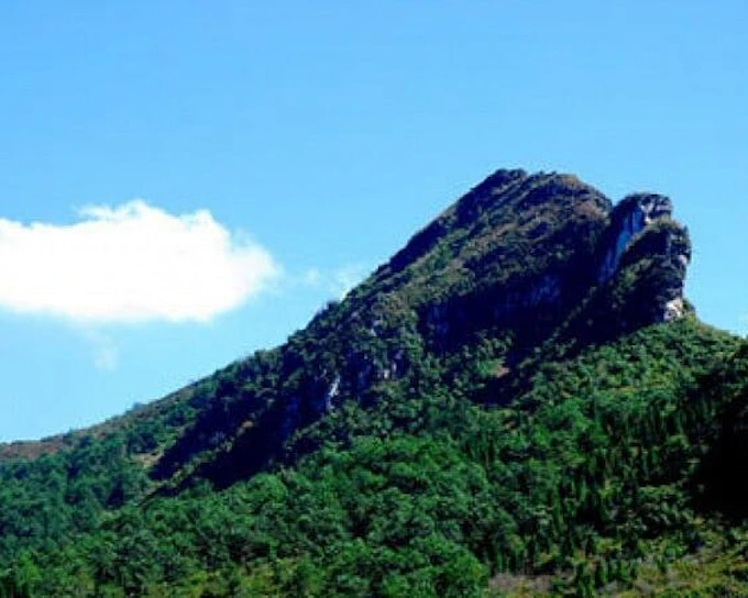 Sapa 21km Guided Trail-Running Day Tour with Local Guide and Mountain Views (Product 54266)