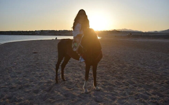 Horseback rider at sunrise on a sandy beach near the Red Sea in Hurghada.