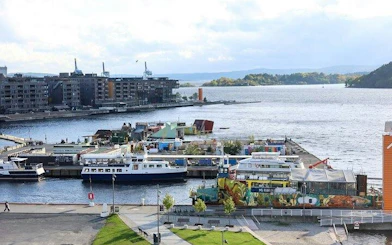 Oslo harbor view with boats and waterfront buildings during a walking tour.