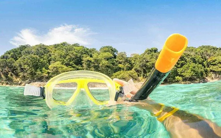 Phi Phi Islands Day Trip with Snorkeling and Lunch