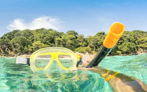 Snorkeling gear floating in clear water near lush greenery, Phi Phi Islands day trip, Phuket.