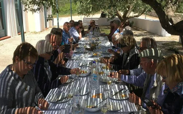 Guests enjoying a wine tasting and Greek cooking class at a winery in Rhodes.