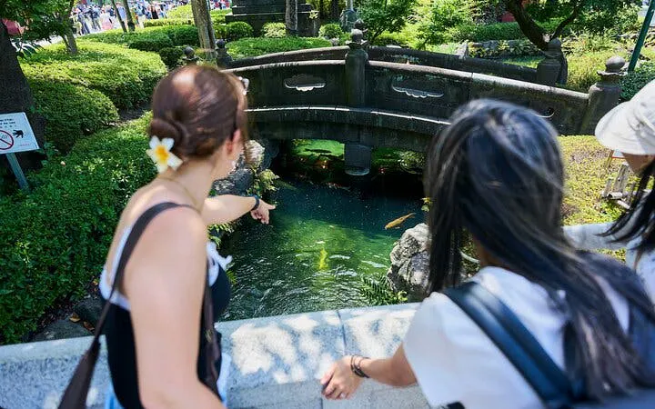 Visitors observing koi fish under a stone bridge in Asakusa, Tokyo during a walking tour.
