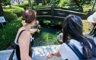 Visitors observing koi fish under a stone bridge in Asakusa, Tokyo during a walking tour.