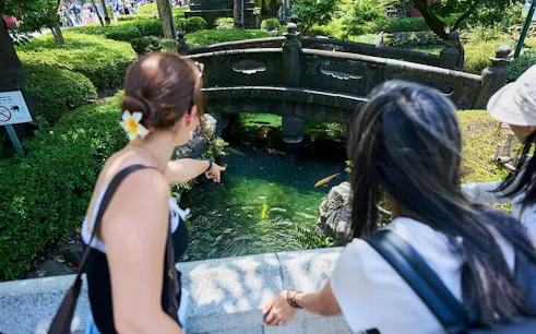 Visitors observing koi fish under a stone bridge in Asakusa, Tokyo during a walking tour.
