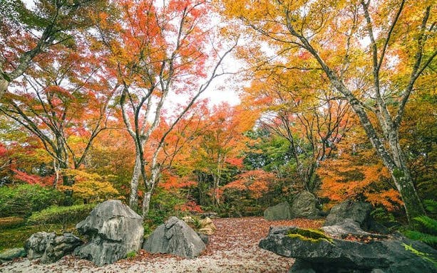 tur pietonal prin pădurea de bambus și grădina ascunsă din arashiyama, kyoto-4