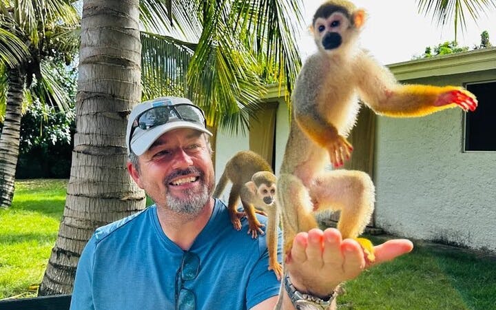 3x1: vandfald i monkeyland og buggy-tur i puerto plata-1