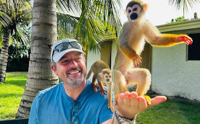 3x1: vandfald i monkeyland og buggy-tur i puerto plata-1