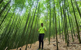 Person trekking through bamboo forest in Mu Cang Chai, Vietnam.