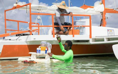 Catamaran crew serving drinks at floating bar during snorkeling tour, Punta Cana.