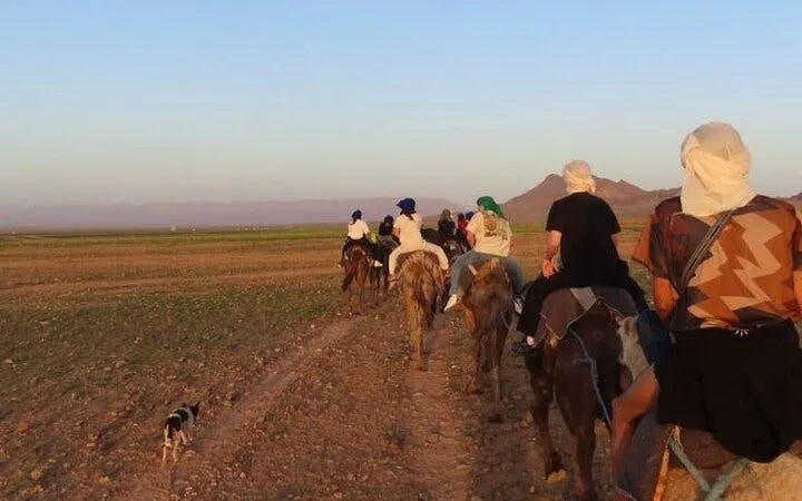 Tourists riding camels across desert landscape at sunset, Zagora Overnight Camp Journey, Marrakech.