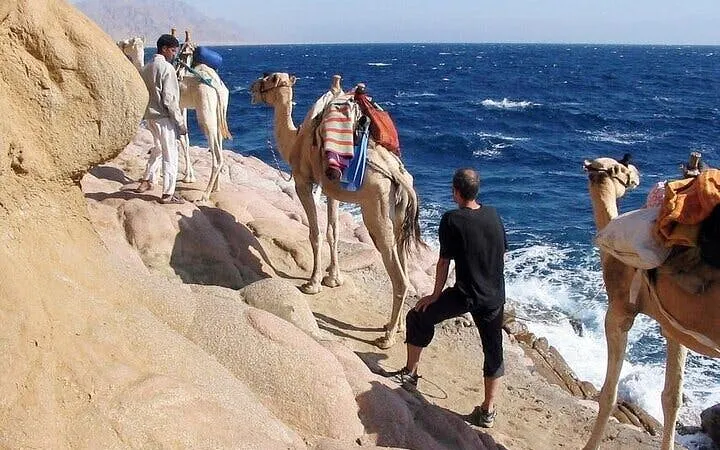 Camels with riders walking along the rocky coast of Blue Hole Canyon, Sharm El Sheikh.
