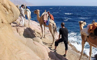 Camels with riders walking along the rocky coast of Blue Hole Canyon, Sharm El Sheikh.