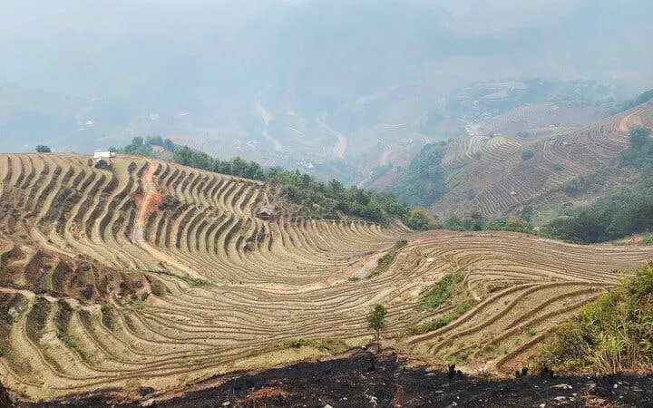 Terraced rice fields in Mu Cang Chai, Vietnam, during a small-group trekking tour.