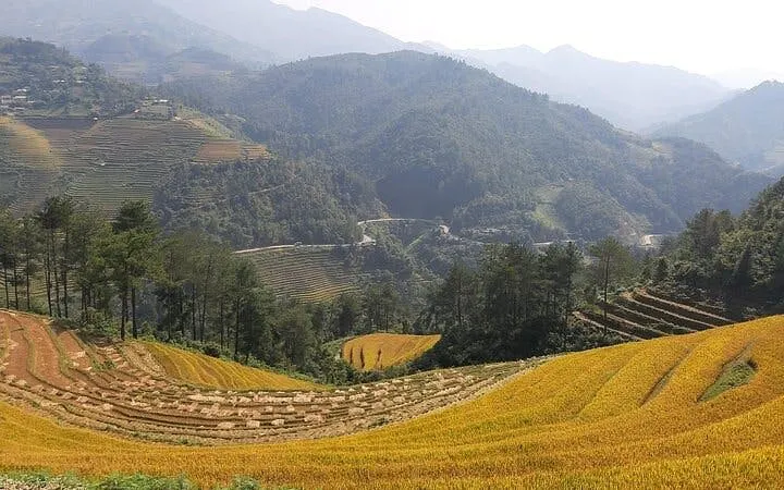 Terraced rice fields in Mu Cang Chai with mountain views, part of motorbike and trekking tour.