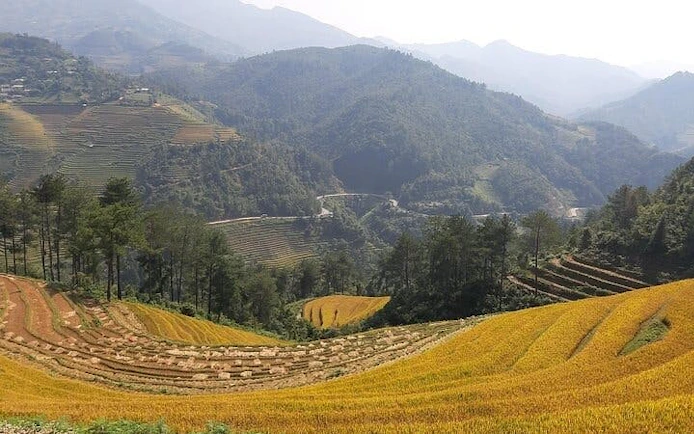 Terraced rice fields in Mu Cang Chai with mountain views, part of motorbike and trekking tour.