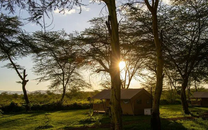 From Arusha: Private 5-Day Serengeti, Ngorongoro Crater & Tarangire Safari