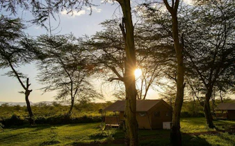 Safari tents at sunrise in Serengeti National Park, Tanzania, surrounded by acacia trees.