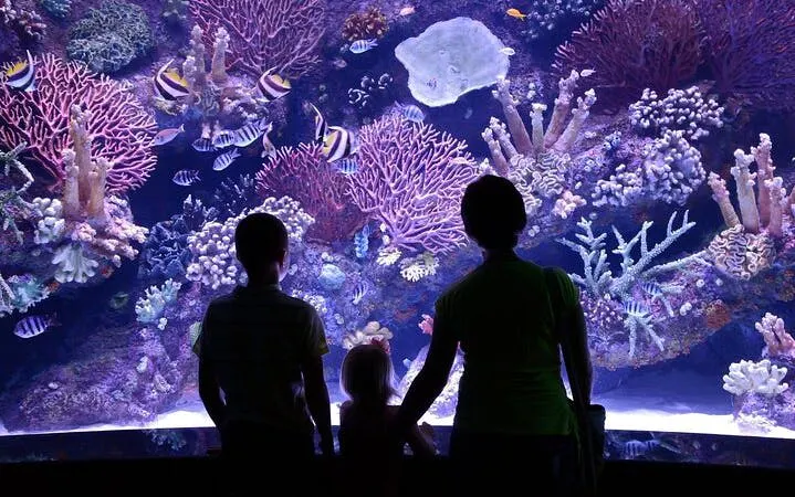 tur til antalya aquarium & fun park – alt inkludert med henting på hotellet-10