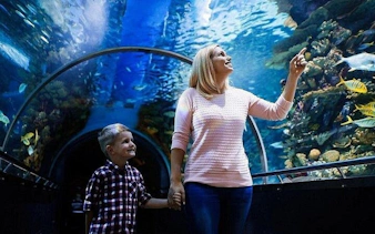 all-inclusive-tour zum alanya aquarium und fun park mit abholung vom hotel-2