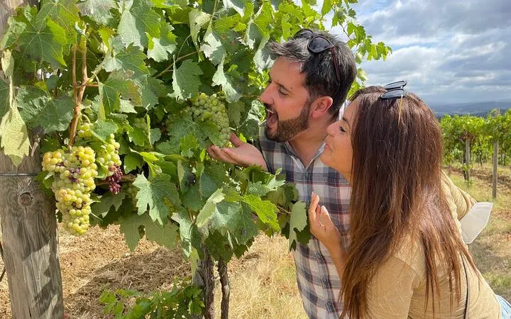 Couple exploring vineyard during Tuscany wine tour with grapes on vine.