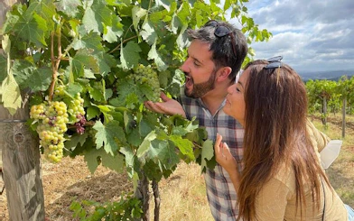 Couple exploring vineyard during Tuscany wine tour with grapes on vine.