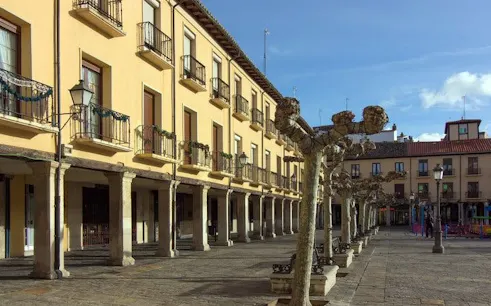 Palencia city square with historic buildings and pruned trees on a self-guided walking tour.