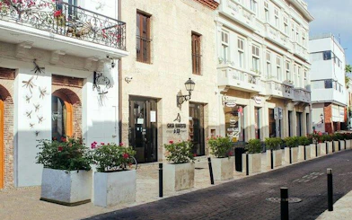 Colonial street in Santo Domingo with historic buildings and decorative plants.