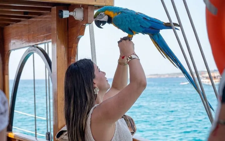 Woman holding a parrot on a pirate-themed boat cruise in Antalya.