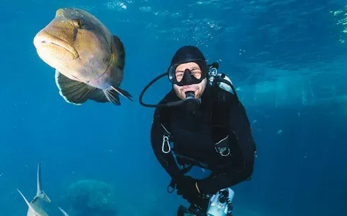 Scuba diver exploring underwater with a large fish in Hurghada.
