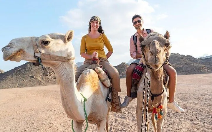 Camel ride Experience in Palmeraie grove & Transfer - Marrakesh Image 10
