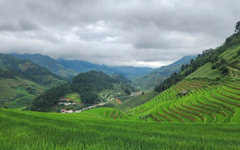 Mu Cang Chai terraced rice fields with mountains in the background, Vietnam.
