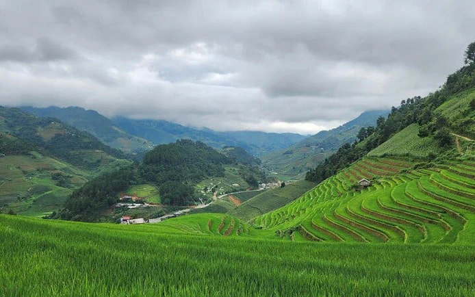 Mu Cang Chai terraced rice fields with mountains in the background, Vietnam.