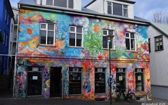 Colorful mural on a building in Reykjavik during a street art walking tour.