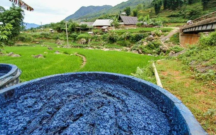 Indigo dye vat in Ta Van Village, Sa Pa, with rice fields and mountains in the background.