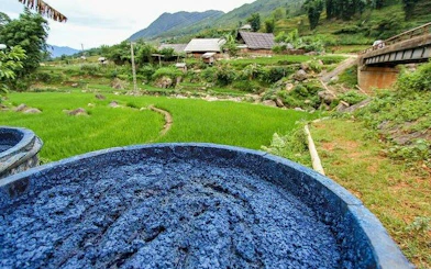 Indigo dye vat in Ta Van Village, Sa Pa, with rice fields and mountains in the background.