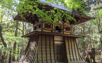 nara - private cross bike tour, hidden temple, nature, ancient sites, and sport-8