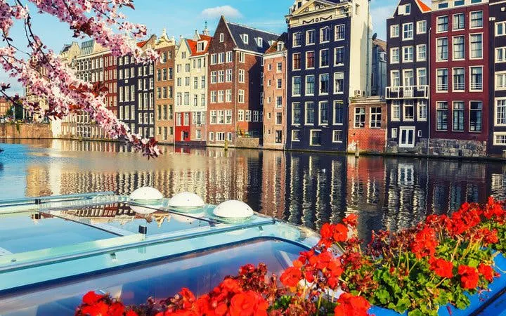 Canal view with traditional Amsterdam houses and flowers, part of a self-guided walking tour.