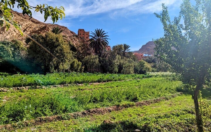 van fez naar marrakesh: 4-daagse tour in kleine groep naar merzouga met kameeltocht, sandboarden, dades en todra-5