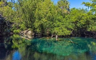 Hidden cenote surrounded by lush greenery in Punta Cana, part of a wildlife conservation tour.