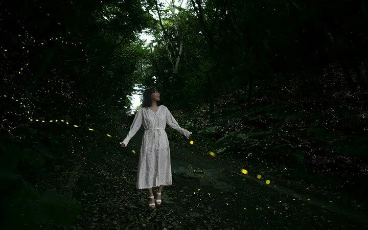 Woman walking through forest with glowing fireflies, Ishigaki Sunset Yaeyama Firefly Viewing Tour, Okinawa.